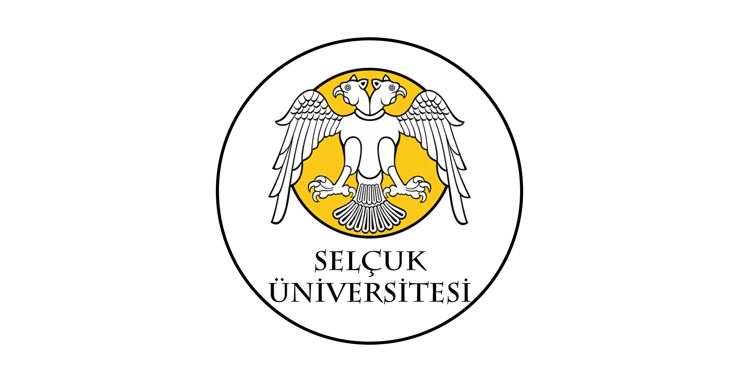 تأسست جامعة سلجوق Selçuk Üniversitesi عام 1975 في مدينة قونيا التي تعتبر أكبر مدينة في تركيا. وتمتلك حالياً من 23 كلية و 22 معهد